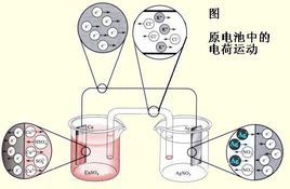 微量元素檢測(cè)儀廠家