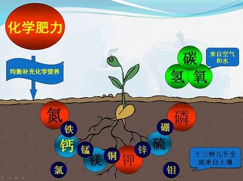 醫(yī)用微量元素檢測(cè)儀對(duì)作物缺素病的識(shí)別