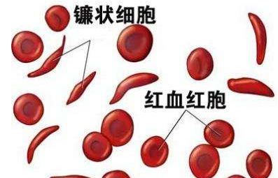 人體微量元素分析儀廠家介紹檢測微量元素的儀器