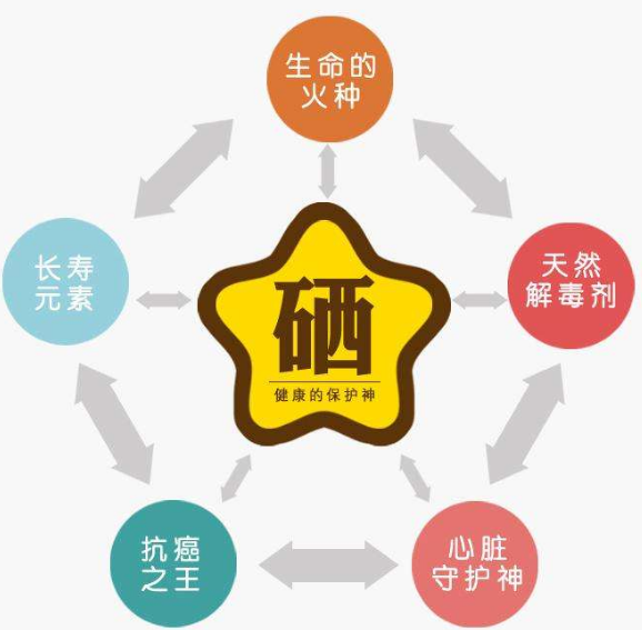 全自動(dòng)微量元素分析儀廠家分析硒為何被稱(chēng)為生命的火種？